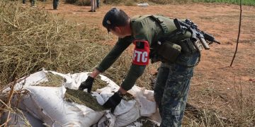 Golpe de casi medio millón de dólares a estructuras del narcotráfico que operan en Concepción