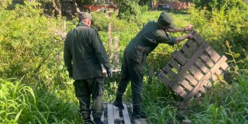 Gendarmería argentina interviene pasos clandestinos en Formosa ante elecciones