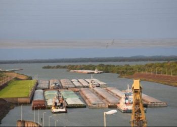 21 productos paraguayos se abrieron paso a nuevos destinos internacionales