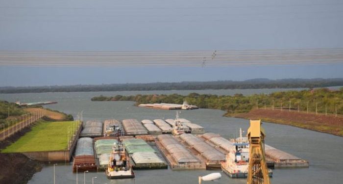 21 productos paraguayos se abrieron paso a nuevos destinos internacionales