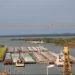 21 productos paraguayos se abrieron paso a nuevos destinos internacionales