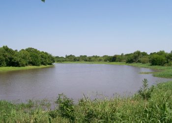 Terminan de delimitar frontera con Bolivia en zona de Río Negro
