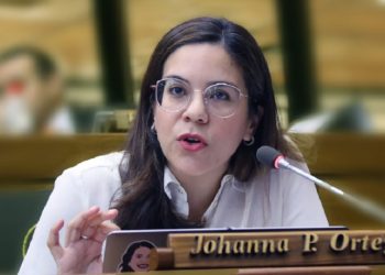 Debate en la oposición respecto a metodología para elegir a un candidato