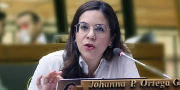 Debate en la oposición respecto a metodología para elegir a un candidato