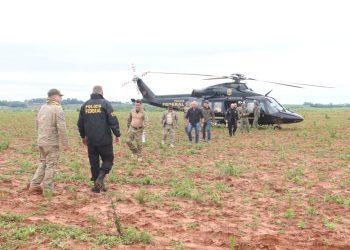 Operación binacional “Nueva Alianza 53” dejó fuera de circulación casi 1.000 toneladas de marihuana en diez días