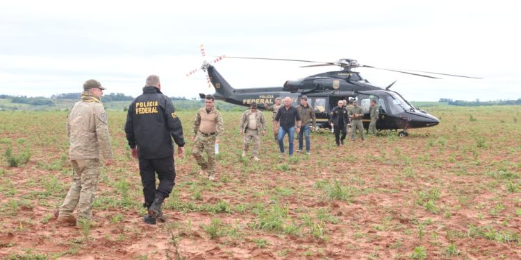 Operación binacional “Nueva Alianza 53” dejó fuera de circulación casi 1.000 toneladas de marihuana en diez días