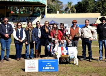 La Dorper paraguaya se medirá con los mejores del mundo en su segunda nacional
