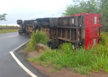 Cinco vacunos mueren tras vuelco de camión transganado en Paso Tuya