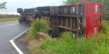 Cinco vacunos mueren tras vuelco de camión transganado en Paso Tuya