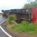 Cinco vacunos mueren tras vuelco de camión transganado en Paso Tuya