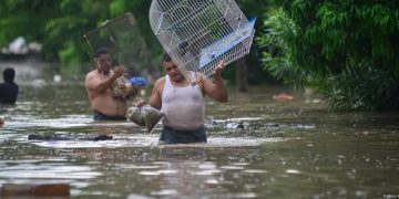México: reportan 41 muertos y graves daños por lluvias