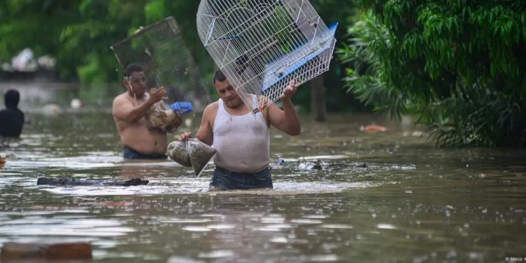 México: reportan 41 muertos y graves daños por lluvias