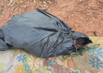 Encuentran el cuerpo de un hombre en Zanja Pyta