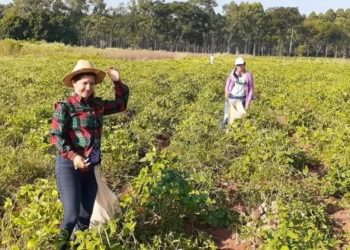 IPTA brindó capacitaciones a más de 3.700 jefas de hogar