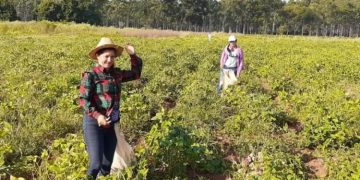 IPTA brindó capacitaciones a más de 3.700 jefas de hogar