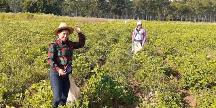 IPTA brindó capacitaciones a más de 3.700 jefas de hogar