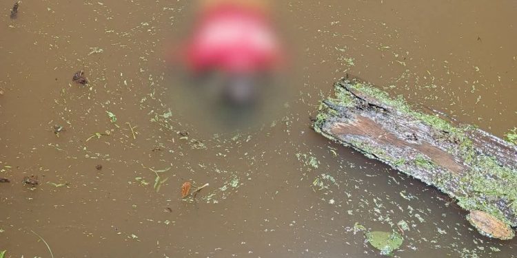 Hombre es encontrado ahogado en un tajamar de Pirapó