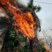 Preocupan incendios en zona de Río Negro, Chaco Paraguayo