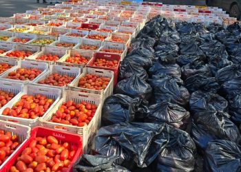 DNIT decomisa casi 7 toneladas de tomates sin documentación en Km 8 Acaray