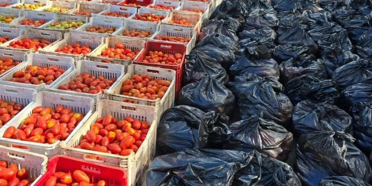 DNIT decomisa casi 7 toneladas de tomates sin documentación en Km 8 Acaray