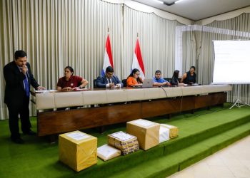 Seis empresas buscan construir el Parque Costero de Villa Hayes