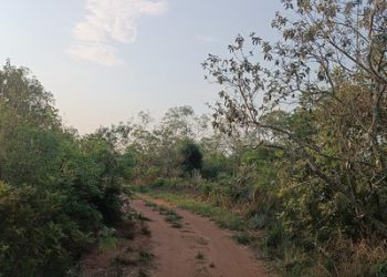 Denuncian que habrían atacado a indígenas dentro de un establecimiento en Karapá