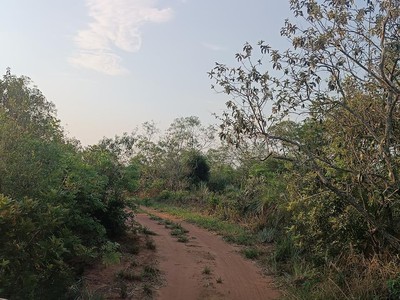 Denuncian que habrían atacado a indígenas dentro de un establecimiento en Karapá