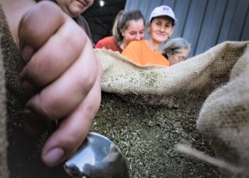 Yerba mate paraguaya conquista 27 mercados del mundo