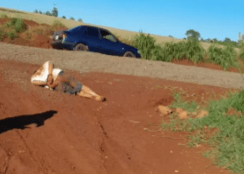 Roban animales vacunos tras golpear y maniatar al capataz