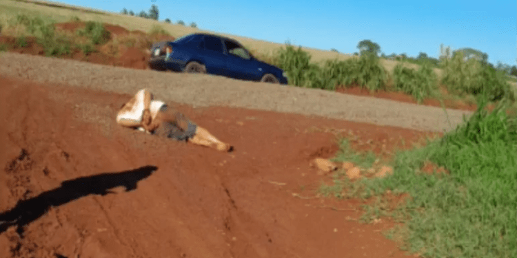 Roban animales vacunos tras golpear y maniatar al capataz