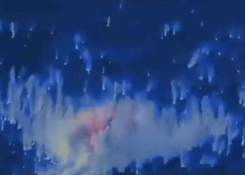 EE.UU destruyó otra lancha con presuntos narcos cerca de Venezuela