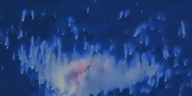 EE.UU destruyó otra lancha con presuntos narcos cerca de Venezuela