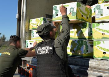 Es otro ‘bananero’: operativo «Banana Sape» que desbarató 444 kilos de cocaína