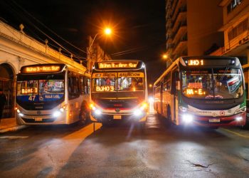 Líneas dentro del servicio Búho superan 70.000 pasajeros