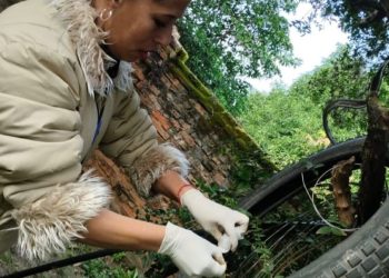 Aumento de notificaciones de dengue en 15 regiones