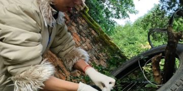 Aumento de notificaciones de dengue en 15 regiones