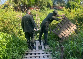Argentina cerró pasos ilegales entre Formosa y Paraguay frente a elecciones del domingo