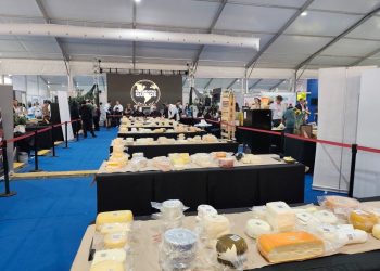 Concurso de quesos: Paraguay brilló con Oro y Bronce en Chile