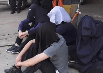 Cuatro chilenos considerados «tortoleros» son detenidos tras allanamientos