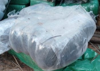 Una tonelada de marihuana es incautada durante operativo «Escudo Guaraní»