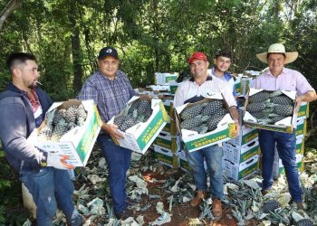 De Horqueta a la Argentina: “piña paraguaya abre puertas”