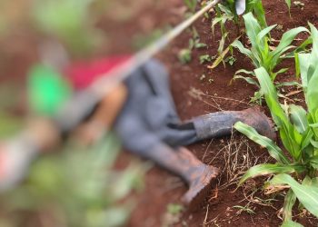Asesinan a un hombre en una chacra de San Luis del Paraná