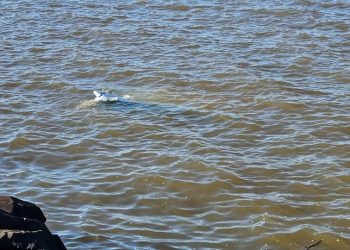 Automóvil cae al subembalse Quiteria: conductor logra salir ileso