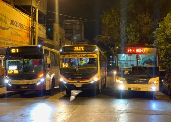La Navidad Florece: familias contarán con la Red Búho para volver a casa