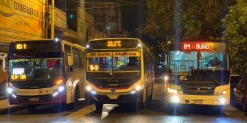 La Navidad Florece: familias contarán con la Red Búho para volver a casa