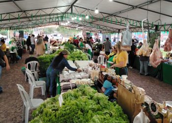 Ferias de la Agricultura Familiar en simultáneo