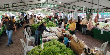 Ferias de la Agricultura Familiar en simultáneo