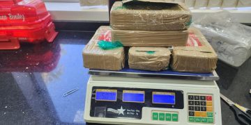 Fiscal asistió a acto jurisdiccional de prueba para destrucción de droga