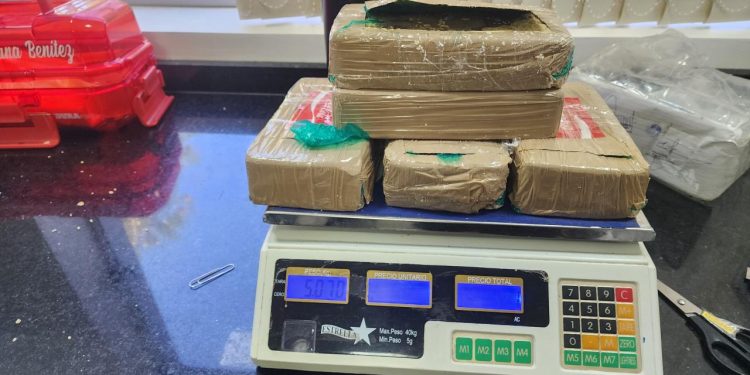 Fiscal asistió a acto jurisdiccional de prueba para destrucción de droga