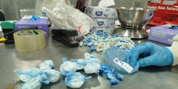 Fiscal asistió a acto jurisdiccional de prueba en la Senad